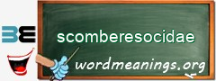 WordMeaning blackboard for scomberesocidae